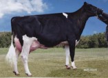Ladys-Manor RubyF Ginni EX 92