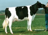 Derbovens Raider Gebka EX 90